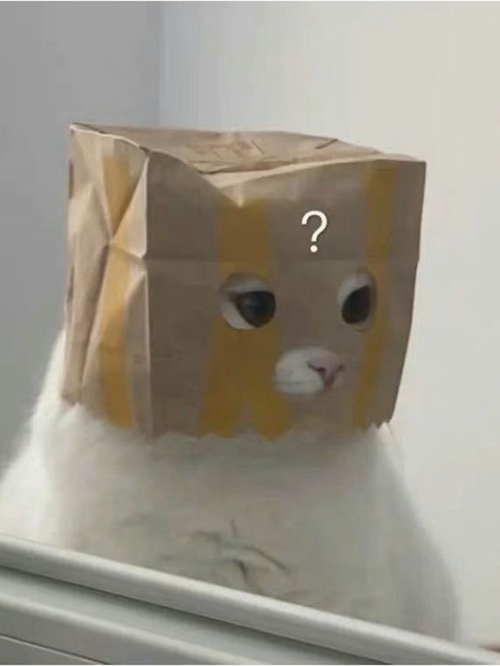 𝐌𝐞𝐞𝐭 𝐲𝐨𝐮𝐫 𝐏𝐨𝐬𝐡𝐞𝐫, 𝐀𝐧𝐚𝐡𝐢